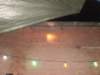 p8010088_small.jpg